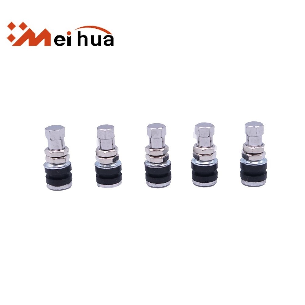 Silver and Zinc alloy stem TR161 tubeless tire valve for Small car valve tire