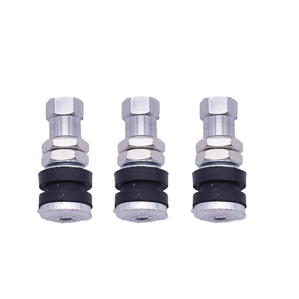 Silver and Zinc alloy stem TR161 tubeless tire valve for Small car valve tire