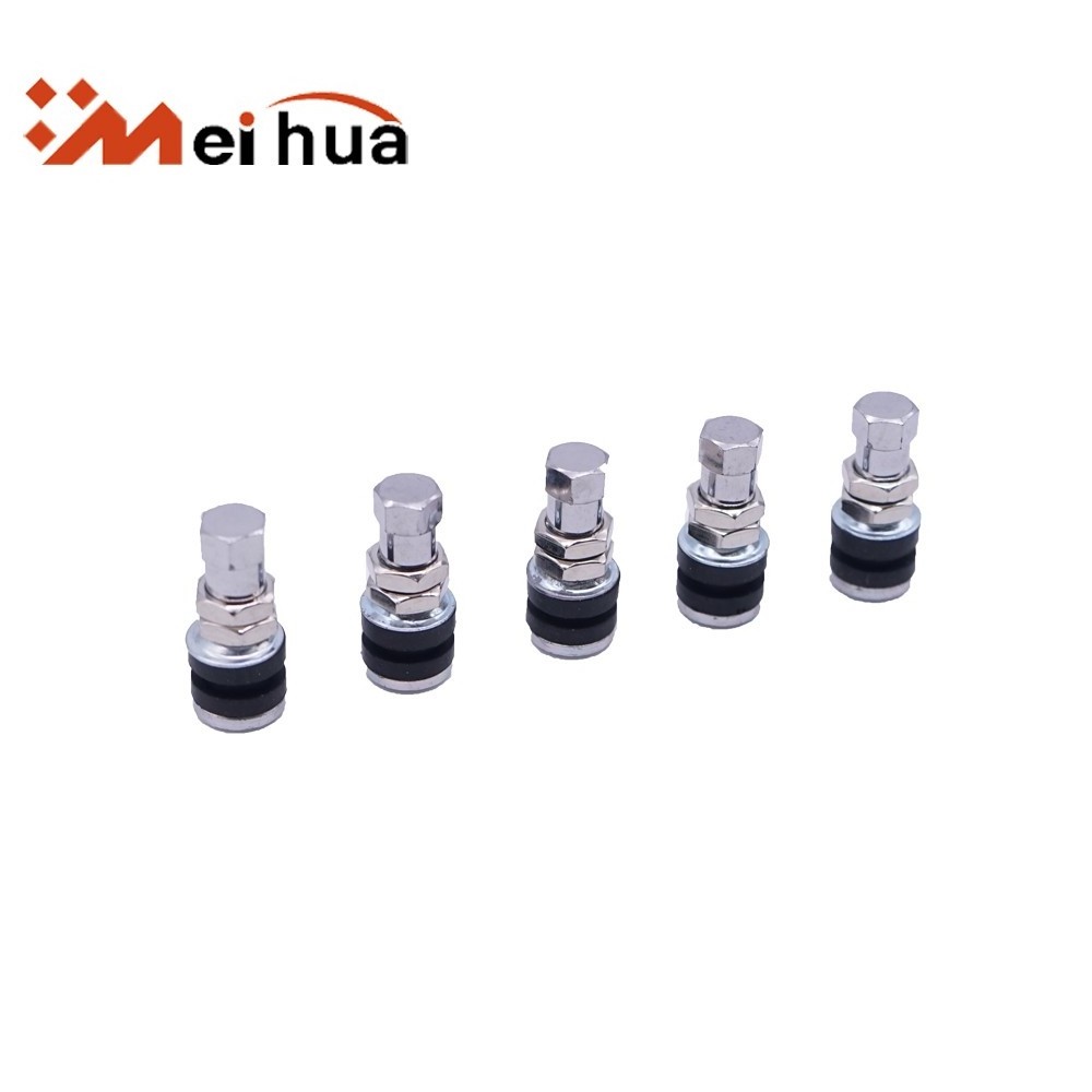 Silver and Zinc alloy stem TR161 tubeless tire valve for Small car valve tire