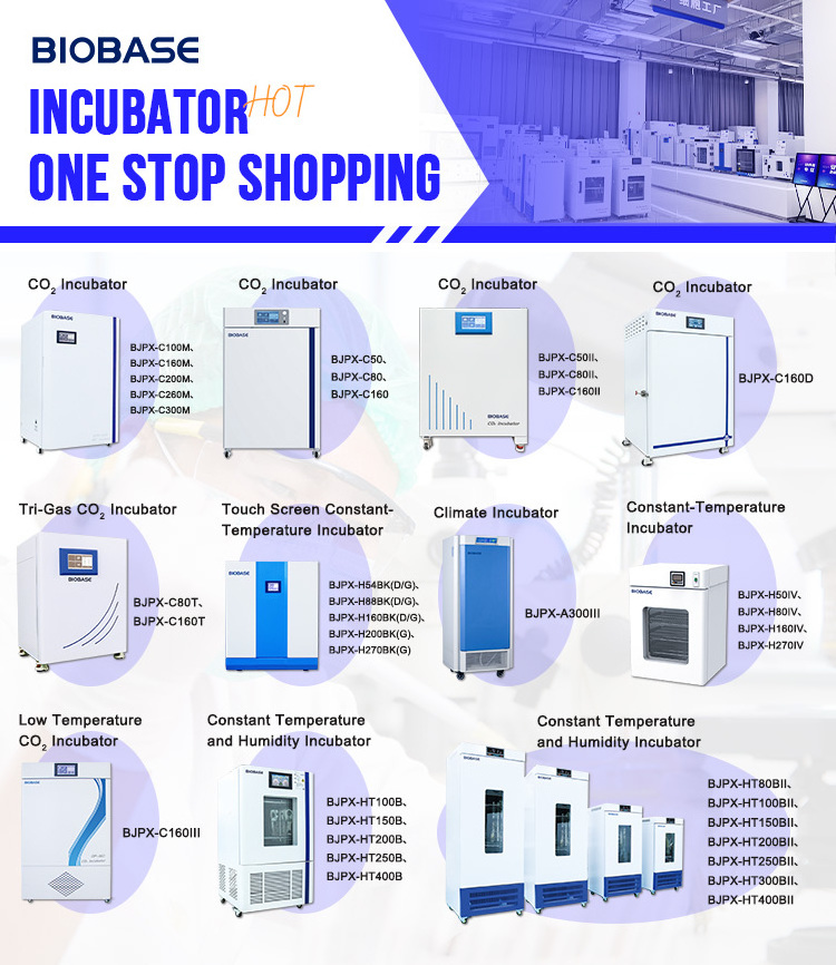 BIOBASE Laboratory Forced Hot Air Circulation Drying Oven Dry Heat Sterilization Oven for Sale