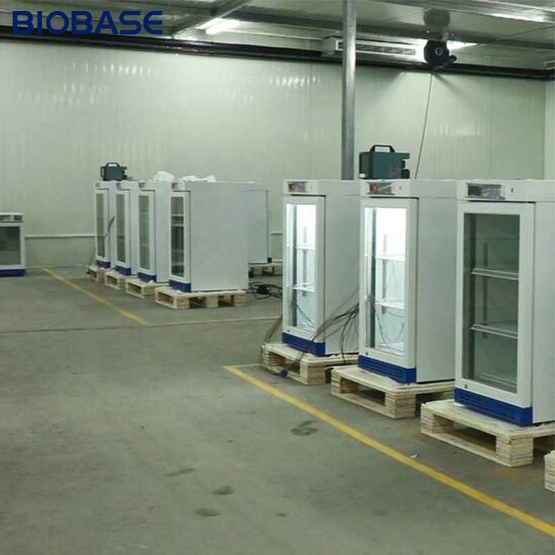 BIOBASE 304 Stainless Steel Material Low Temperature Freezer Cheap Price