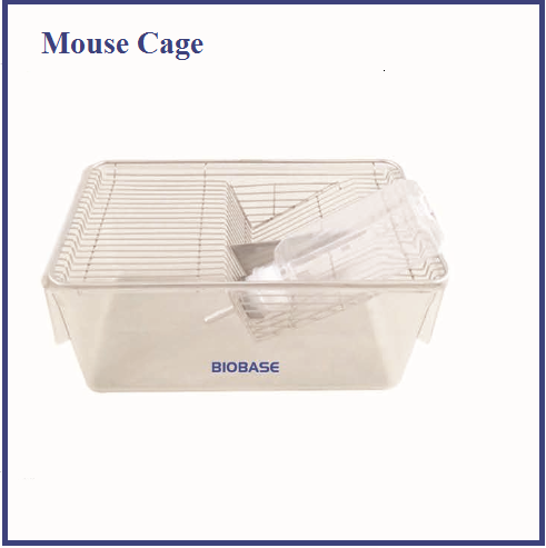 BIOBASE Discount Price High Performance Cheap Laboratory Animal Cage Separating the Feces and Urine Mouse Cage  Price