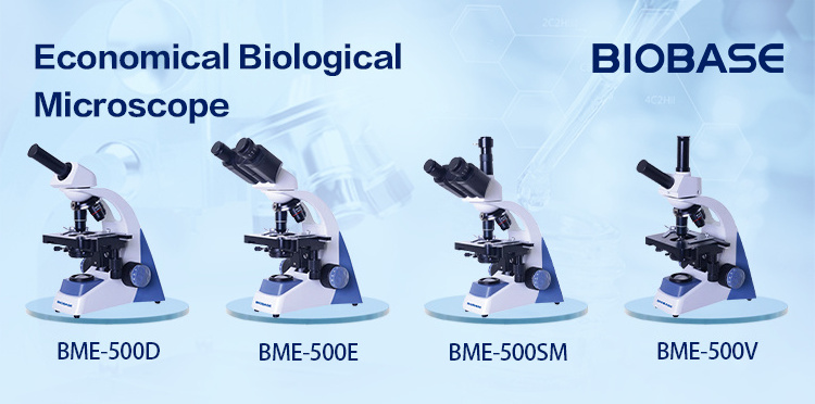 BIOBASE High performance Scanning Electron Microscope