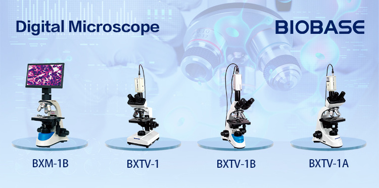 BIOBASE High performance Scanning Electron Microscope