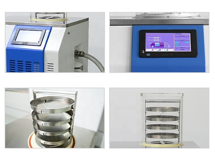 BIOBASE lyophilizer used food freeze dryer for sale freeze drying equipment for flower freeze dryer