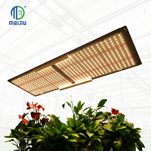 Meijiu 2700K 3000K Meiju 3500k Lm301h QB 240w 2x4 Ebay 240w Plant Samsung Led Grow Light For Indoor Vegetable Flower Growth