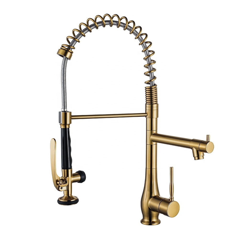 Modern Retractable Flexible Luxury Brass Single Lever Spring Pull Out Kitchen Sink Faucet