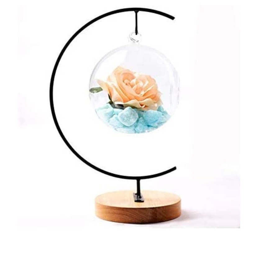 Creative Counter Top Metal Stand Display Racks Hanging Glass Globe Air Plant Terrarium