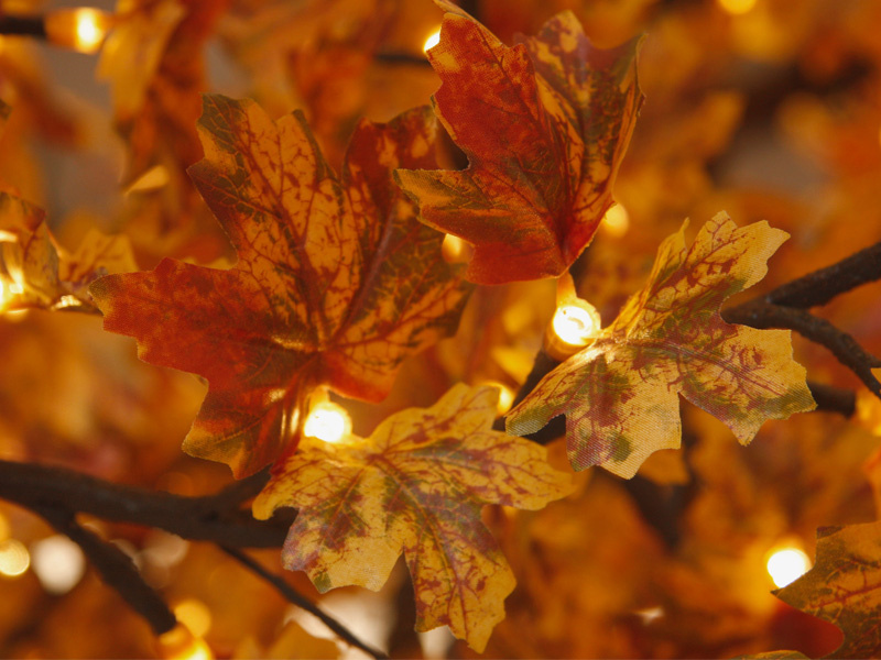 Outdoor Holiday Decoration LED Maple Tree Lights