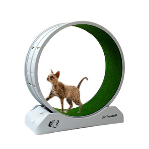 Plastic Cat Fitness Wheel Silent Indoor pet treadmill Interactive Anti-Depressant Pet Toy