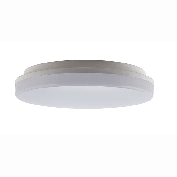 ip5418W surface mounted ceiling led light indoor best price