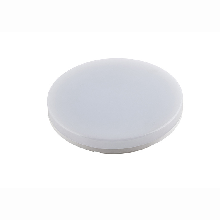 ip5418W surface mounted ceiling led light indoor best price