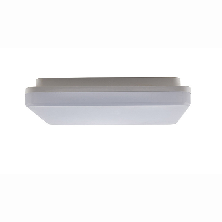 ip5418W surface mounted ceiling led light indoor best price