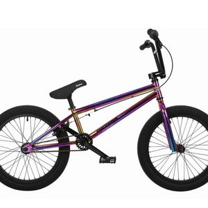 20 Inch Hi-Ten Frame BMX Bike/ Bicicleta/ Dirt Jump BMX/ SY-FS2090