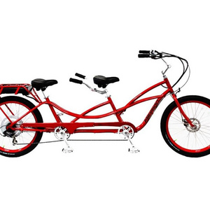 26" Electric Bike Bicycle with Lithium Battery/ Electric Tandem Bike (SY-E2638)