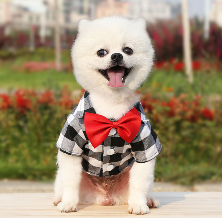 Made In China Designer Grid Personalized Sweet Bow Check T-Shirt Pet Luxury Dog Clothes