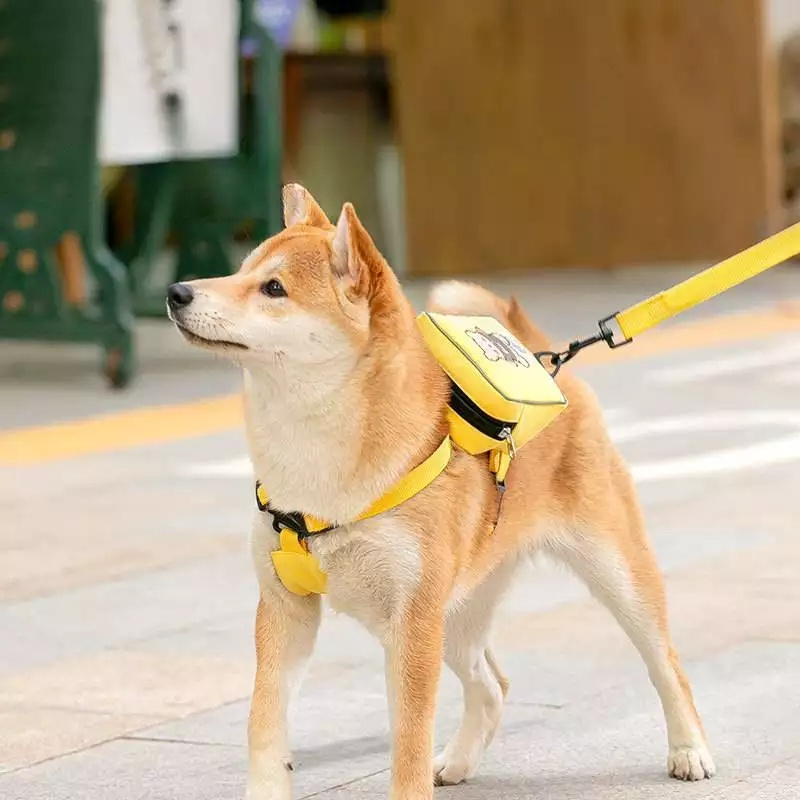 Adjustable diy best walking dog harness vest and leash