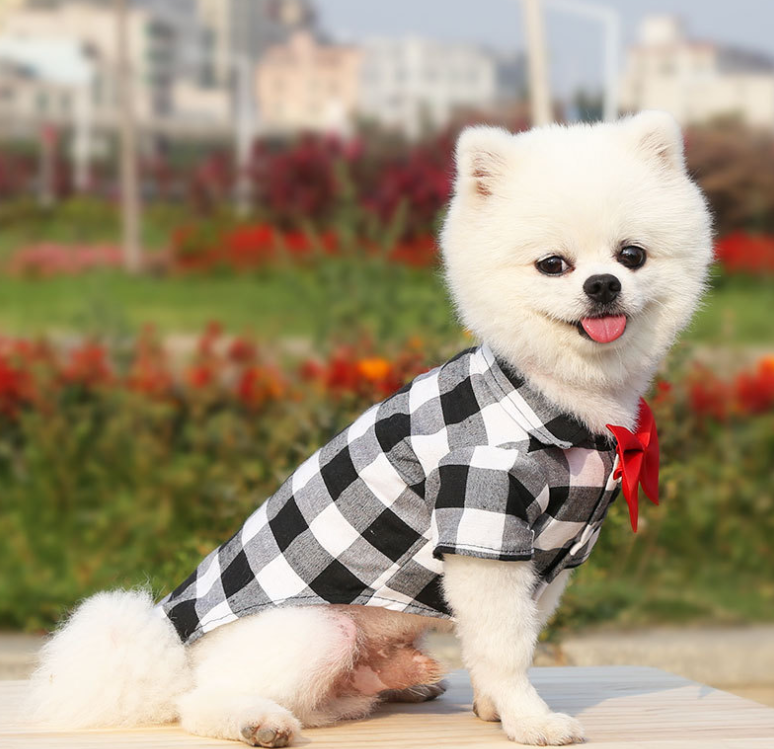 Made In China Designer Grid Personalized Sweet Bow Check T-Shirt Pet Luxury Dog Clothes