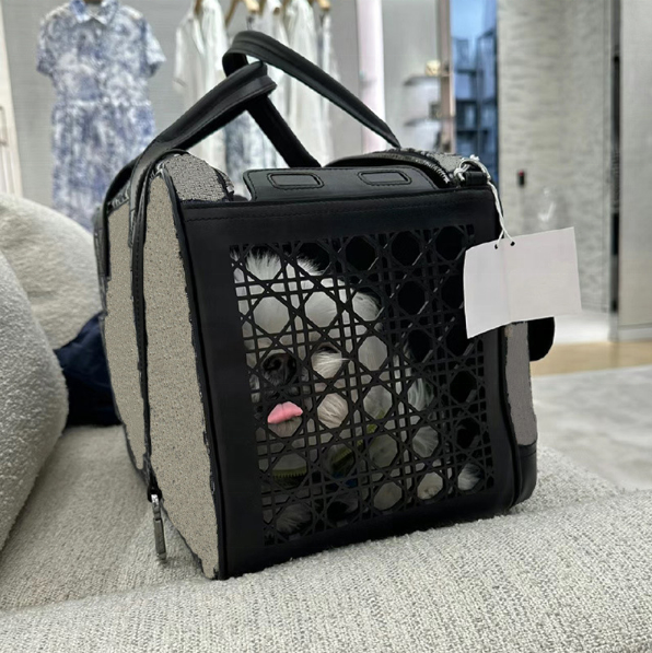 Original Custom Logo Manufacturer luxury brand famous design high-end leather pet travel bag cat Carriers dog carrier sling