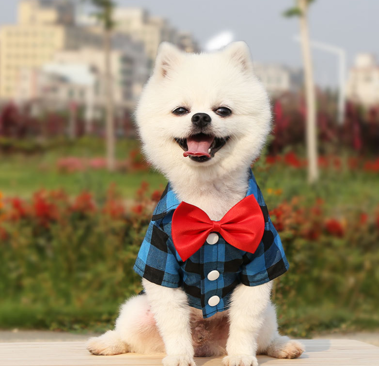 Made In China Designer Grid Personalized Sweet Bow Check T-Shirt Pet Luxury Dog Clothes