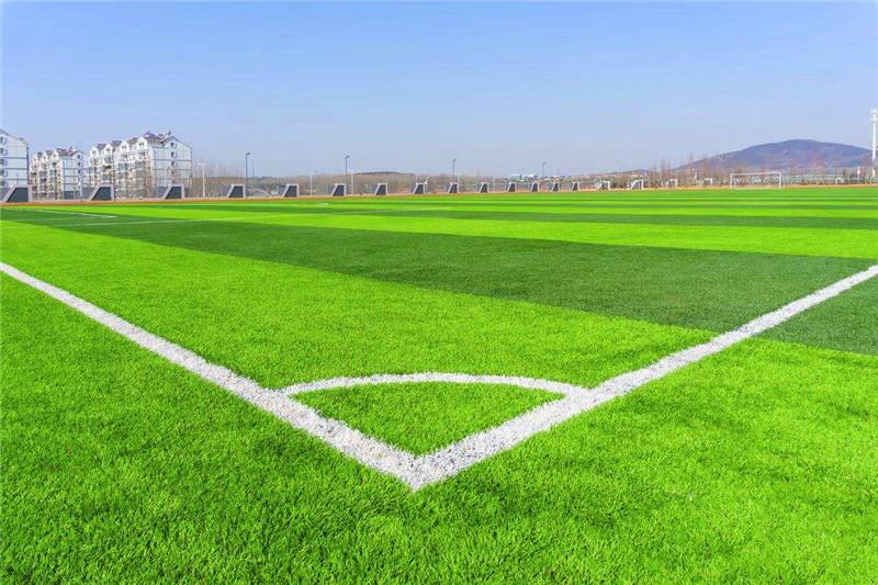 sdms non infill artificial grass for soccer football pitch padel tennis courts rubber granules free sport turf 25mm 30mm carpets