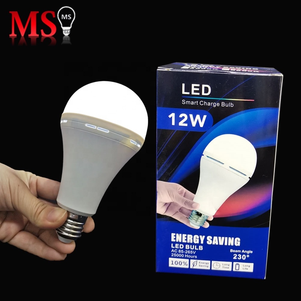 Factory Direct Sales Price Rechargeable Led Bulb 30W Home Led Emergency Bulb Lamp Lighting