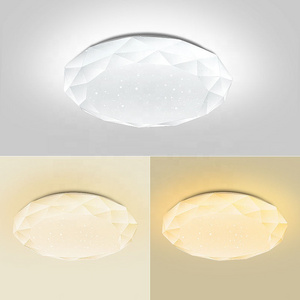 China Factory  20W 30W 40W Decorative Lighting Sitting Room Lights Round Oyster Decoration Ceiling Lights For Home Ceiling