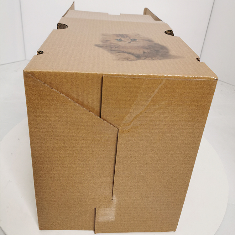 Strong Foldable Corrugated Stock Cardboard Packing Pet Custom Carton Boxes Brown Paper Boxes Packaging for Cat Carrier Express