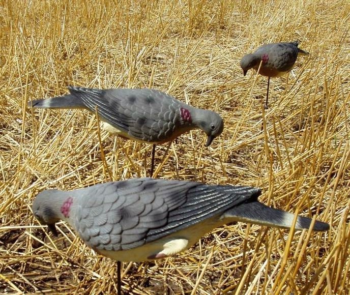 Canadian Goose Shell Decoy