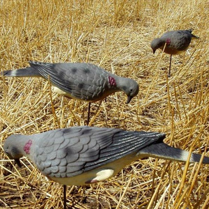 Canadian Goose Shell Decoy