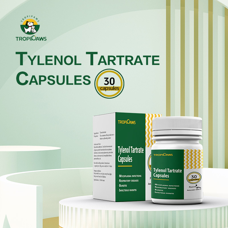 Racing pigeon medicine supplements tylenol tartrate capsules pills