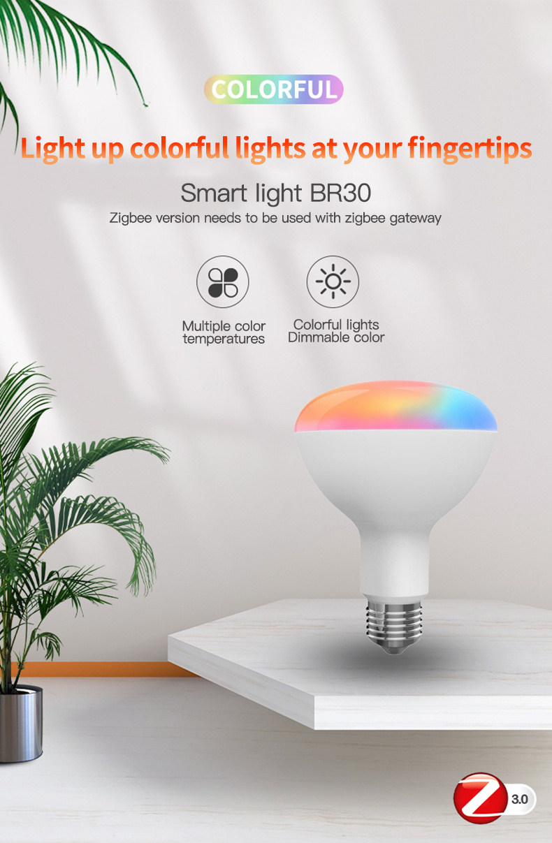 Smart Light Bulb BR30 Rgb+W+C Matter E26 E27 B22 10W Wifi+Ble Zigbee3.0 Support Alexa/Googlehome Voice Control