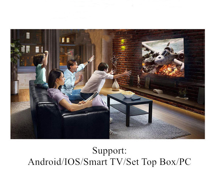 New Stable Android TV Box 4K Dino Model Smart TV Player Free Trial Reseller Available