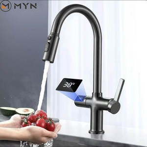 2023 Meiyani New Design Pull Out Brass  Cold And Hot Digital Display  Kitchen Sink Faucet Tap Ware Mixer