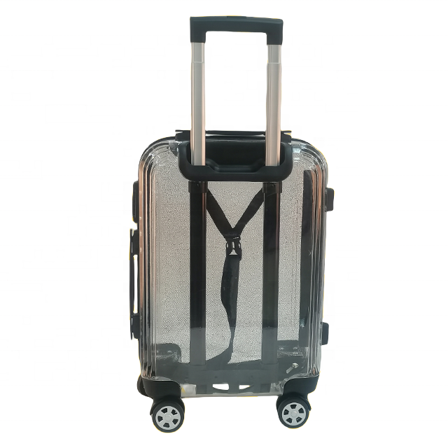 Clear Transparent PC Designer Luggage Carry On Cabin Trolley Travel Bags On Wheels Fashion Rolling Clear Suitcase