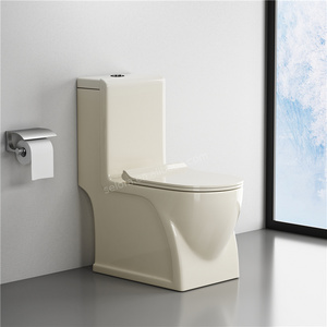 Saudi Arabia wholesaler sanitary ware ceramic washdown water closet wc p trap one piece toilet bowl in ivory color