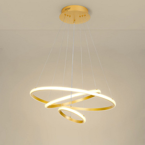 Contemporary minimalist hanging decorative ceiling pendant lights nordic modern design circle ring led chandeliers