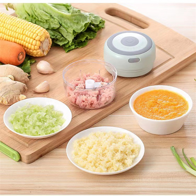 B947 Multifunction 250ml Onion Vegetable Garlic Press Chopper Mini Wireless Garlic Masher Smart Electric Meat Mincer