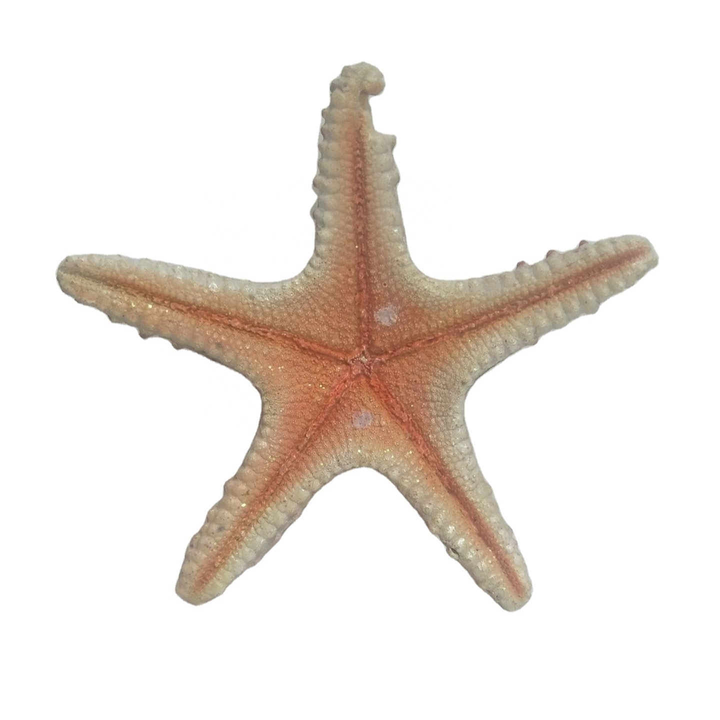 resin starfish urchine sea urchin fish wall decor crafts coastal decor decoration