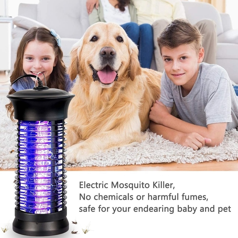 hot selling home use mosquito killer lamp 6W plug in mosquito killer uv electronic house fly trap electric indoor bug zapper