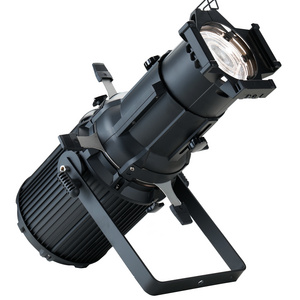 Custom Logo 200W Ellipsoidal Profile Light LED Dual Color Spot Lighting Stage Light For Small Theaters Church Weddings