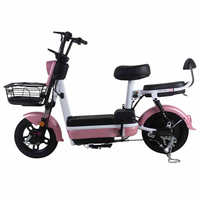 Two seat 48v 12a Classic design city bike  cheap Chinese electric bike