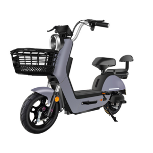 goodt sales from Chinese factories 350w electric bike for women