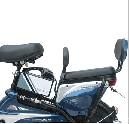 Direct sales from Chinese factories foldable electric bike