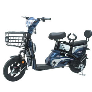 Direct sales from Chinese factories foldable electric bike