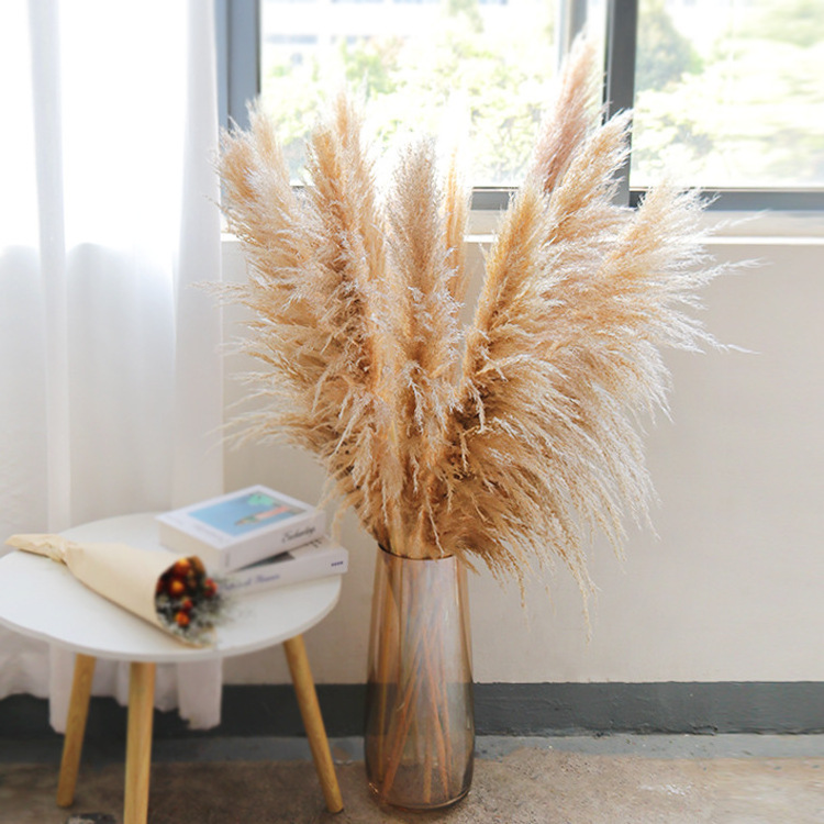 2023 Hot Selling Boho Reed Dried Small Large Tall Artificial Natural Pampas Grass For Wedding Flower Arrangements Home Decor