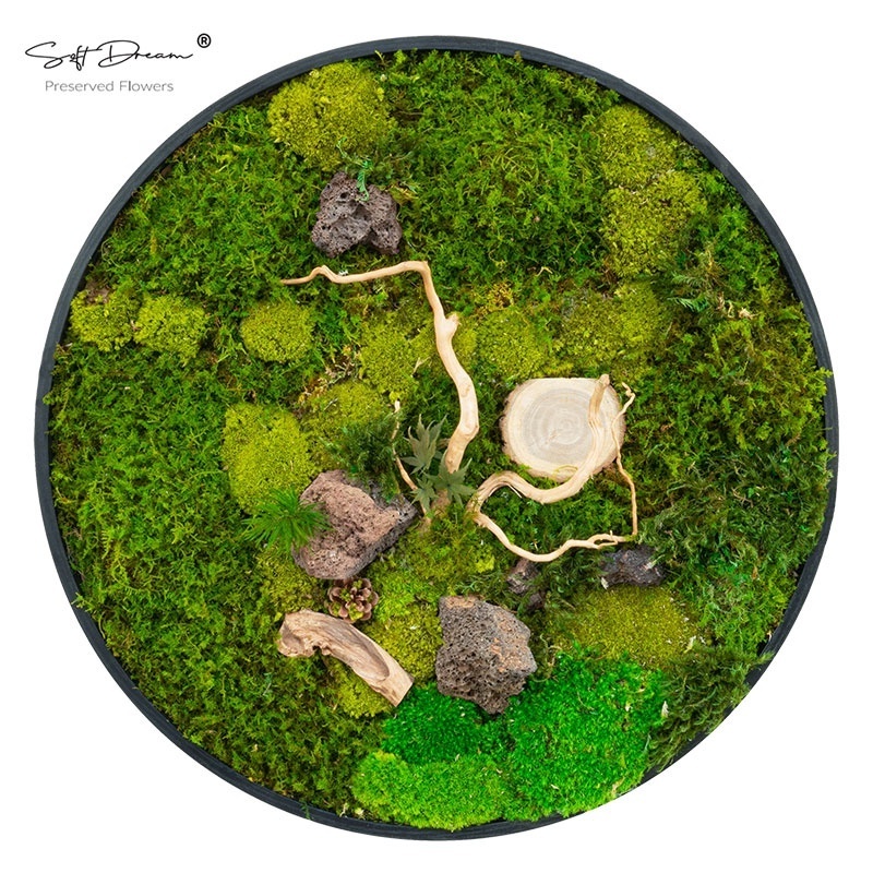 Softdream floral Ready Made Customized Office Decoration 3D Real Natural Moss Wall Art Frame Wholesale Reindeer Moss Stabilized