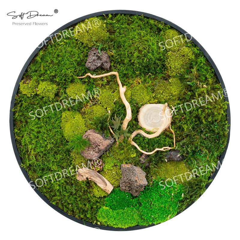 Customized finished green moss wall art panels frame with stabilised moss grass wall for home office decor