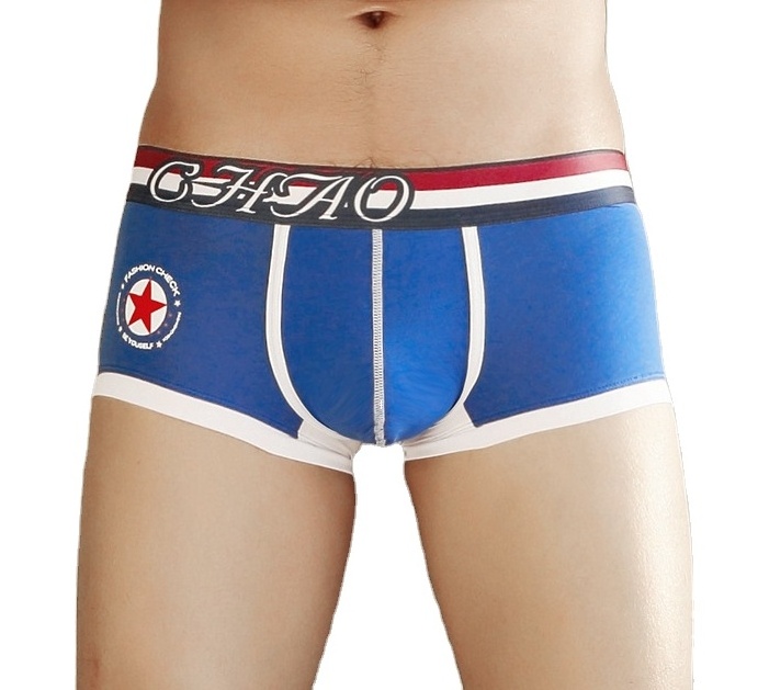 Custom Personality Cartoon Teen Boys Tight Cotton Spandex Boxer Briefs Underwear