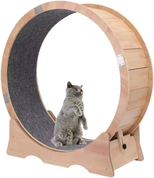 Cat Wheel Large for Indoor Cats Cat Running Easy Assembled Moisture-Proof small Pet Treadmill Running Wheel